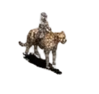 Cheetah Rider